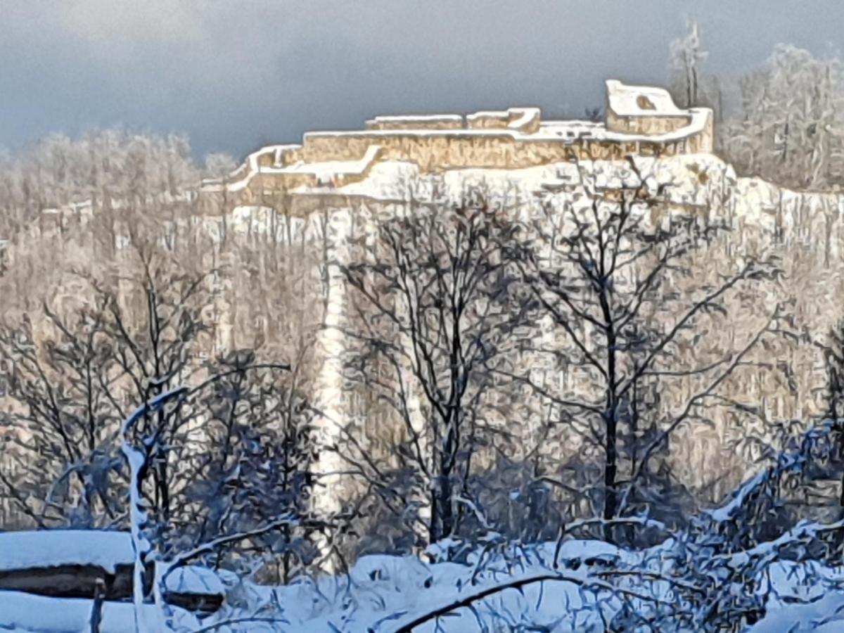 Haus Nordlicht Appartement Horn-Bad Meinberg Buitenkant foto