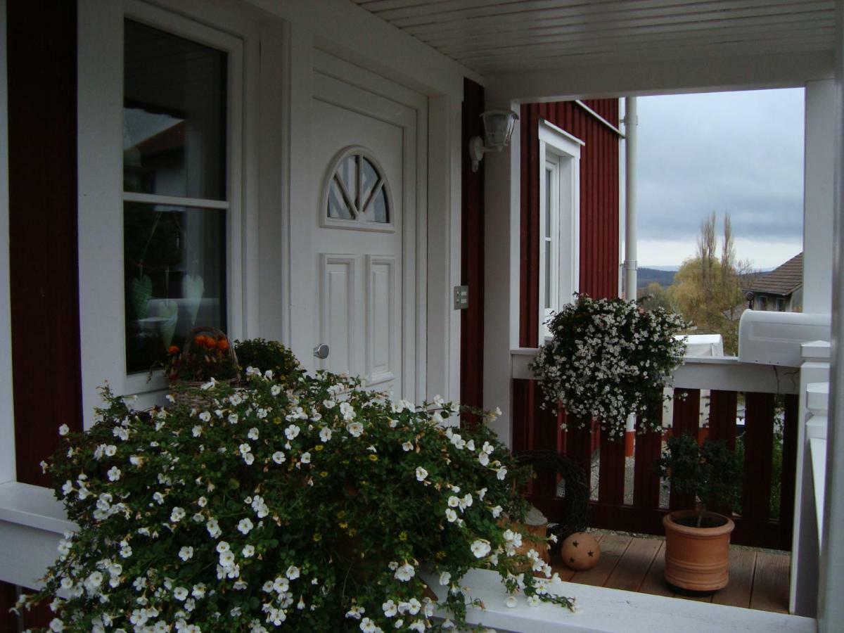 Haus Nordlicht Appartement Horn-Bad Meinberg Buitenkant foto
