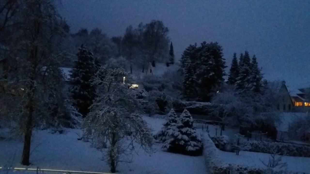 Haus Nordlicht Appartement Horn-Bad Meinberg Buitenkant foto